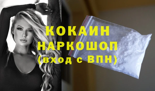 mdpv Богородицк