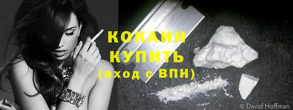 бошки Белокуриха