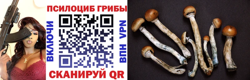 Галлюциногенные грибы прущие грибы Купить Бирюч
