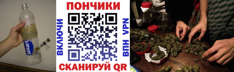 Конопля Amnesia Купить закладки Бирюч